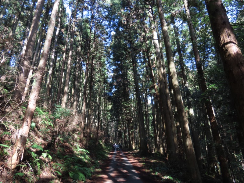 日和田山、物見山